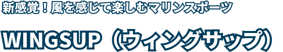 新感覚！風を感じて楽しむマリンスポーツWINGSUP（ウィングサップ）